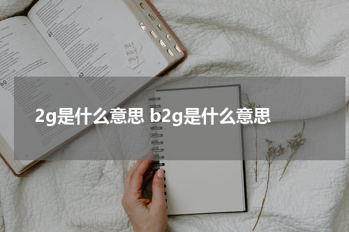 2g是什么意思 b2g是什么意思