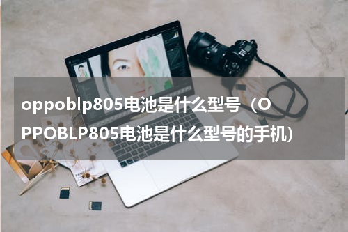 oppoblp805电池是什么型号（OPPOBLP805电池是什么型号的手机）