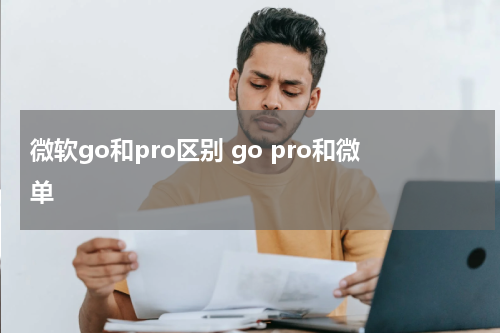 微软go和pro区别 go pro和微单