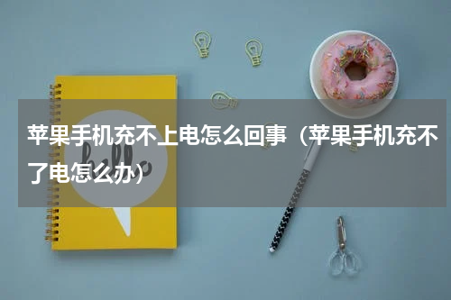 苹果手机充不上电怎么回事（苹果手机充不了电怎么办）