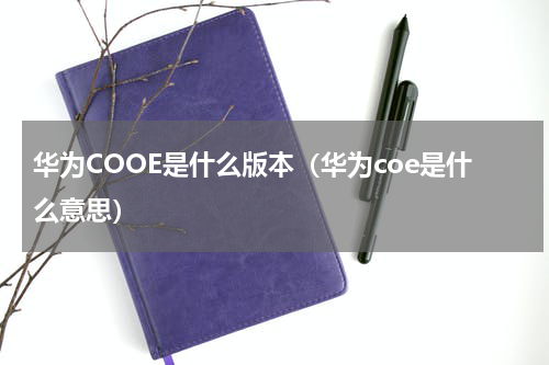 华为COOE是什么版本(华为coe是什么意思)
