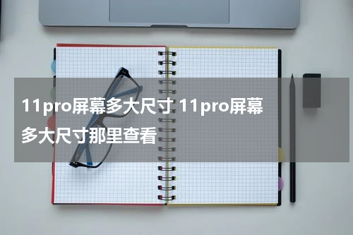11pro屏幕多大尺寸 11pro屏幕多大尺寸那里查看