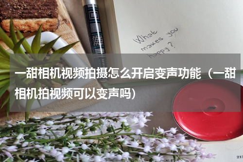 一甜相机视频拍摄怎么开启变声功能（一甜相机拍视频可以变声吗）