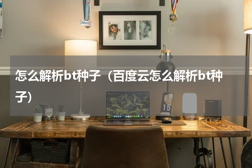 怎么解析bt种子(百度云怎么解析bt种子)