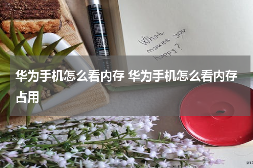 华为手机怎么看内存 华为手机怎么看内存占用