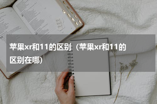 苹果xr和11的区别（苹果xr和11的区别在哪）