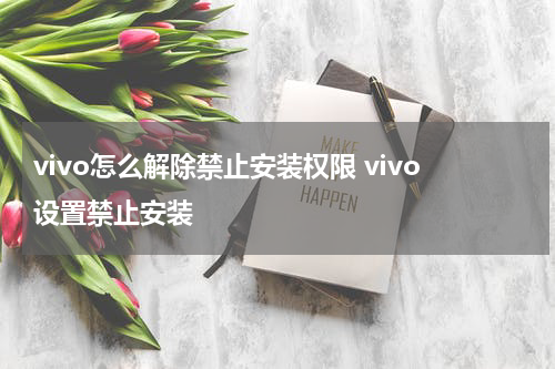 vivo怎么解除禁止安装权限 vivo设置禁止安装