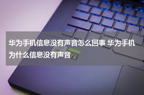 华为手机信息没有声音怎么回事 华为手机为什么信息没有声音
