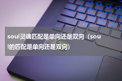 soul灵魂匹配是单向还是双向(soul的匹配是单向还是双向)