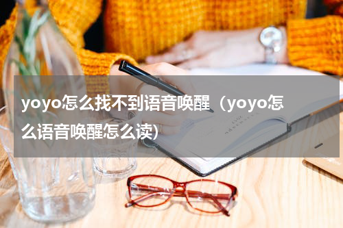 yoyo怎么找不到语音唤醒（yoyo怎么语音唤醒怎么读）