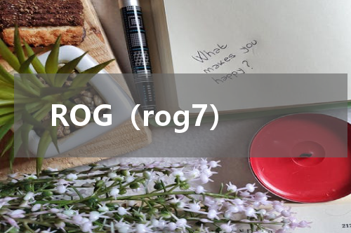 ROG(rog7)
