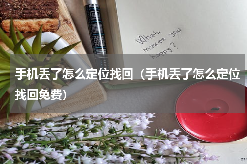 手机丢了怎么定位找回（手机丢了怎么定位找回免费）