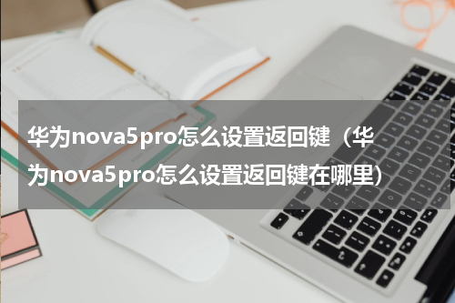 华为nova5pro怎么设置返回键（华为nova5pro怎么设置返回键在哪里）