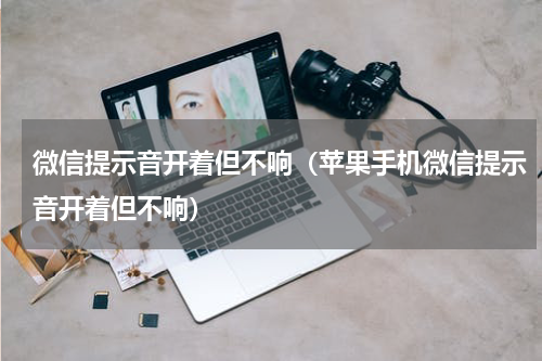 微信提示音开着但不响（苹果手机微信提示音开着但不响）