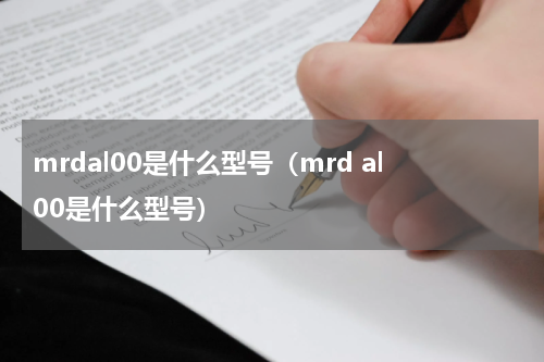 mrdal00是什么型号（mrd al00是什么型号）