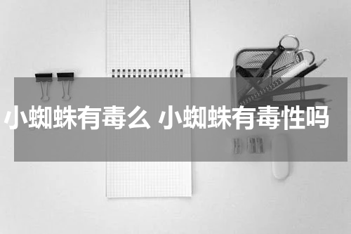 小蜘蛛有毒么 小蜘蛛有毒性吗