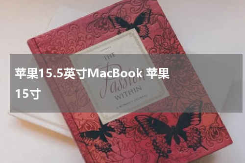 苹果15.5英寸MacBook 苹果 15寸