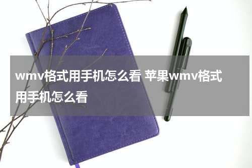 wmv格式用手机怎么看 苹果wmv格式用手机怎么看