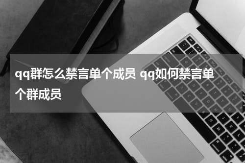 qq群怎么禁言单个成员 qq如何禁言单个群成员