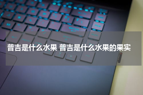 普吉是什么水果 普吉是什么水果的果实