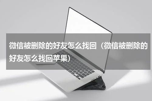 微信被删除的好友怎么找回（微信被删除的好友怎么找回苹果）