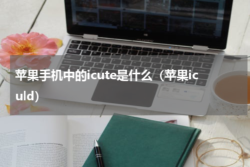苹果手机中的icute是什么(苹果iculd)