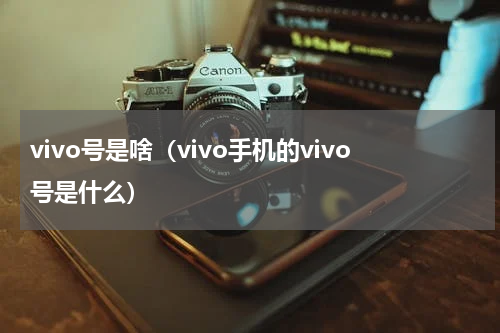 vivo号是啥（vivo手机的vivo号是什么）