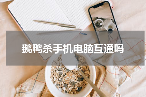 鹅鸭杀手机电脑互通吗