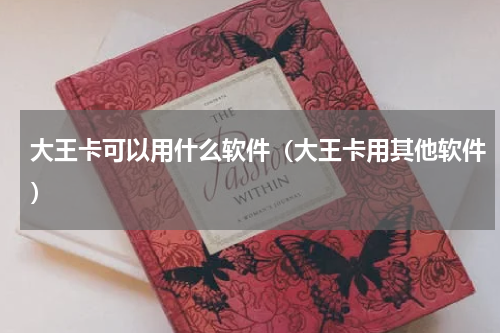 大王卡可以用什么软件（大王卡用其他软件）