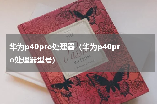 华为p40pro处理器（华为p40pro处理器型号）