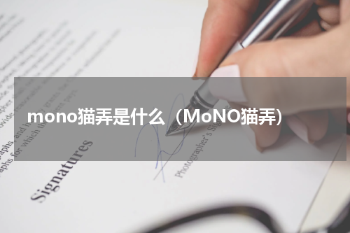 mono猫弄是什么（MoNO猫弄）