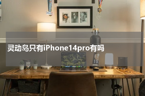 灵动岛只有iPhone14pro有吗