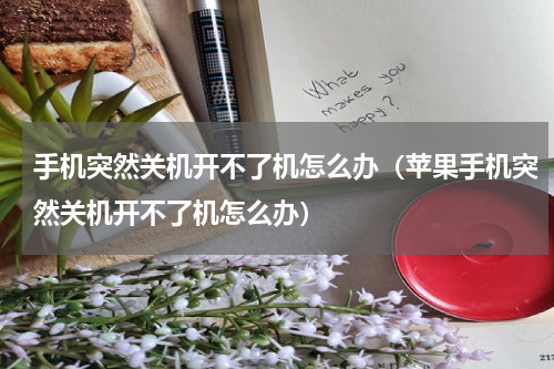 手机突然关机开不了机怎么办（苹果手机突然关机开不了机怎么办）