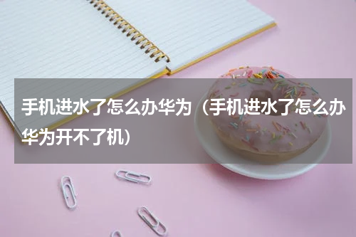 手机进水了怎么办华为（手机进水了怎么办华为开不了机）