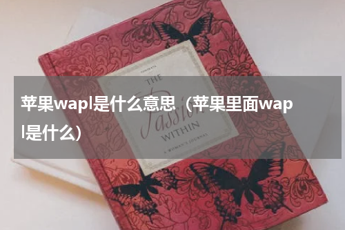 苹果wapl是什么意思（苹果里面wapl是什么）