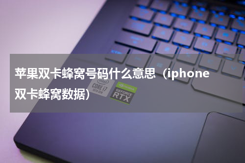 苹果双卡蜂窝号码什么意思（iphone双卡蜂窝数据）