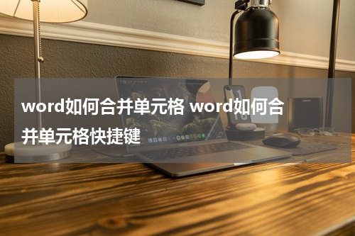 word如何合并单元格 word如何合并单元格快捷键