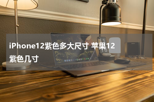 iPhone12紫色多大尺寸 苹果12紫色几寸