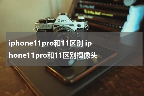 iphone11pro和11区别 iphone11pro和11区别摄像头