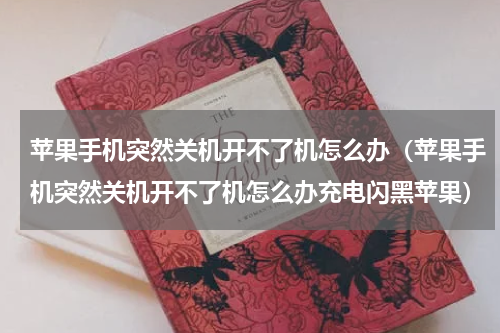 苹果手机突然关机开不了机怎么办（苹果手机突然关机开不了机怎么办充电闪黑苹果）