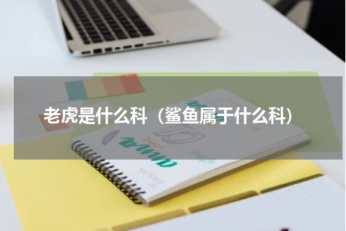 老虎是什么科（鲨鱼属于什么科）