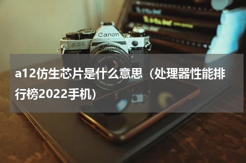 a12仿生芯片是什么意思（处理器性能排行榜2022手机）