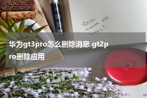 华为gt3pro怎么删除消息 gt2pro删除应用