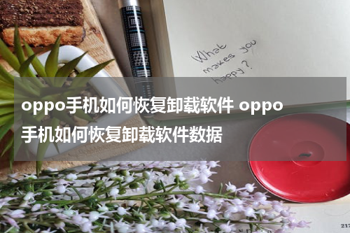 oppo手机如何恢复卸载软件 oppo手机如何恢复卸载软件数据
