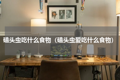 磕头虫吃什么食物（磕头虫爱吃什么食物）