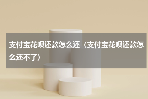 支付宝花呗还款怎么还(支付宝花呗还款怎么还不了)