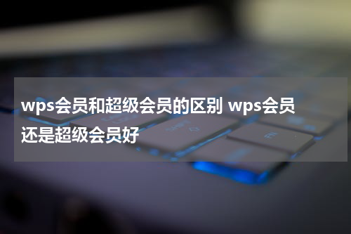wps会员和超级会员的区别 wps会员还是超级会员好