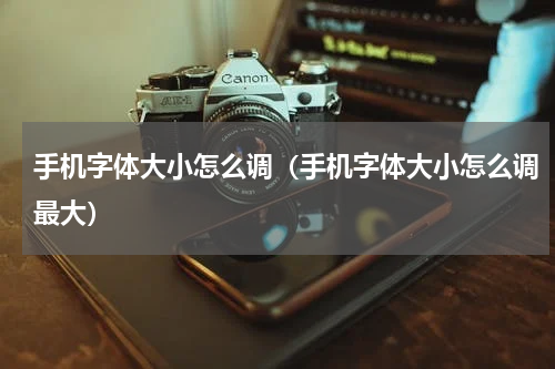 手机字体大小怎么调（手机字体大小怎么调最大）
