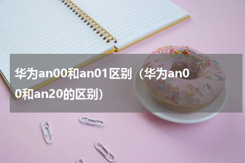 华为an00和an01区别（华为an00和an20的区别）