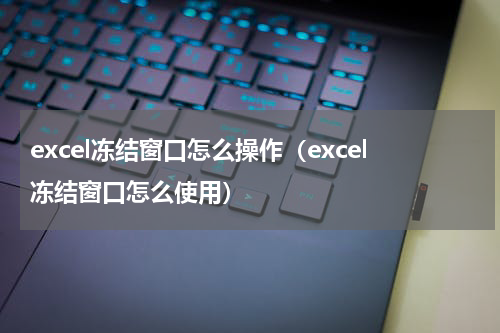 excel冻结窗口怎么操作(excel冻结窗口怎么使用)